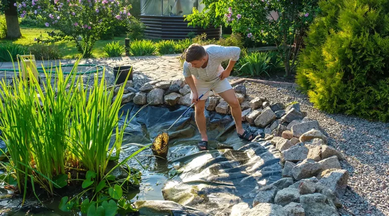 Innovative Design Ideas for Crafting Your Dream Water Garden