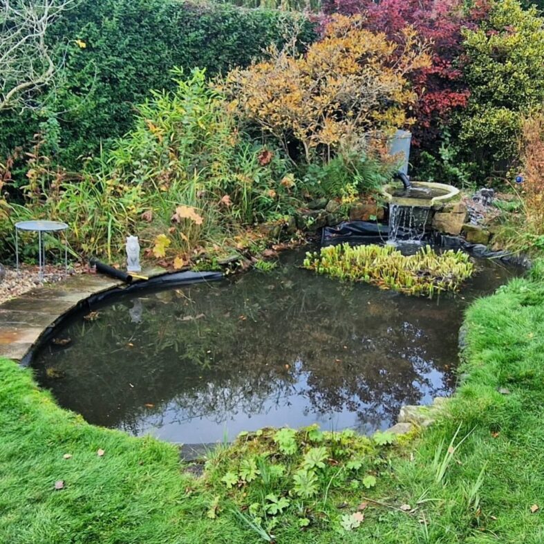 Foundation of Your Water Garden