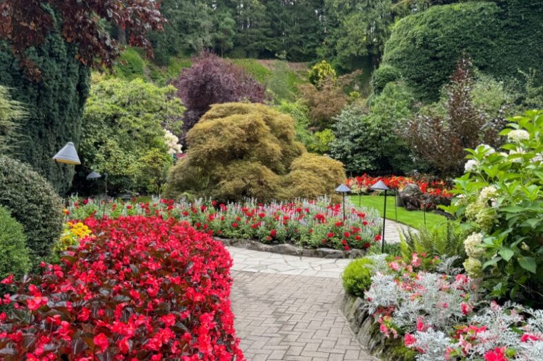 10 Best Garden Decoration Tips to Turn a Simple Yard Into a Relaxing Outdoor Sanctuary 10 Best Garden Decoration Tips to Turn a Simple Yard Into a Relaxing Outdoor Sanctuary