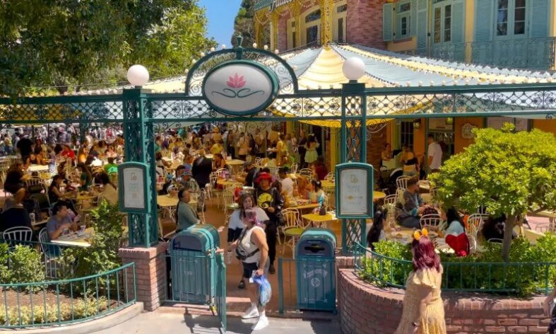 What’s the Smartest Way to Plan a Disneyland Day Right Now? What’s the Smartest Way to Plan a Disneyland Day Right Now?